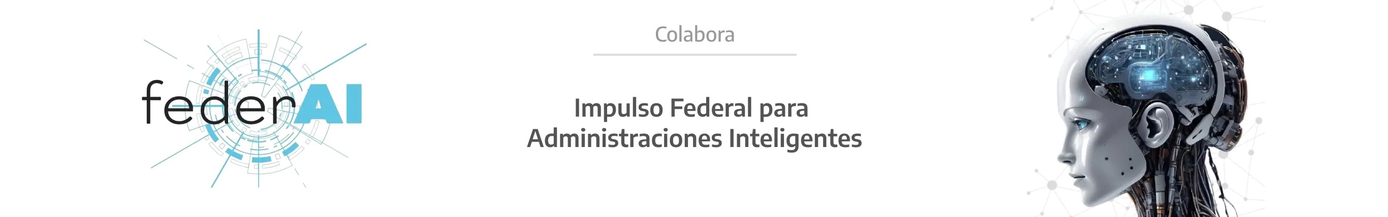 FederAI
